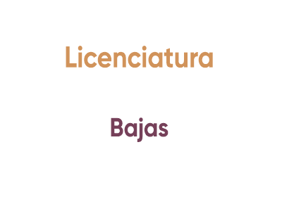 Licenciatura Constancia de Baja